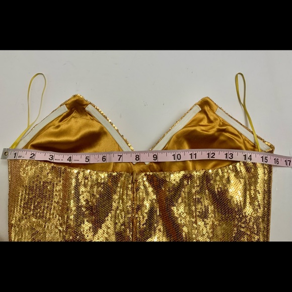 “HOST PICK” Retrofete Caroline Sequined Dress - Picture 7 of 13